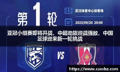bsports登录入口