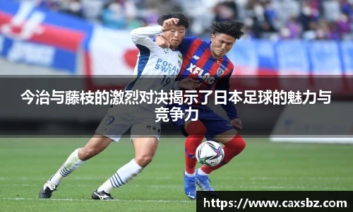 bsports登录入口